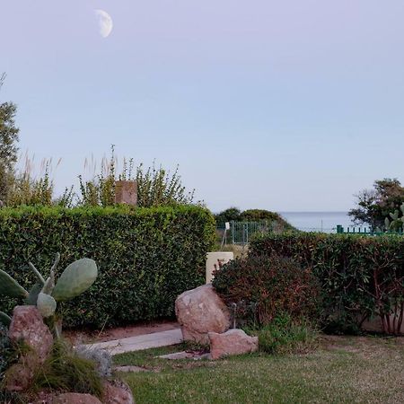 קוסטה ריי Villa Eucaliptus מראה חיצוני תמונה